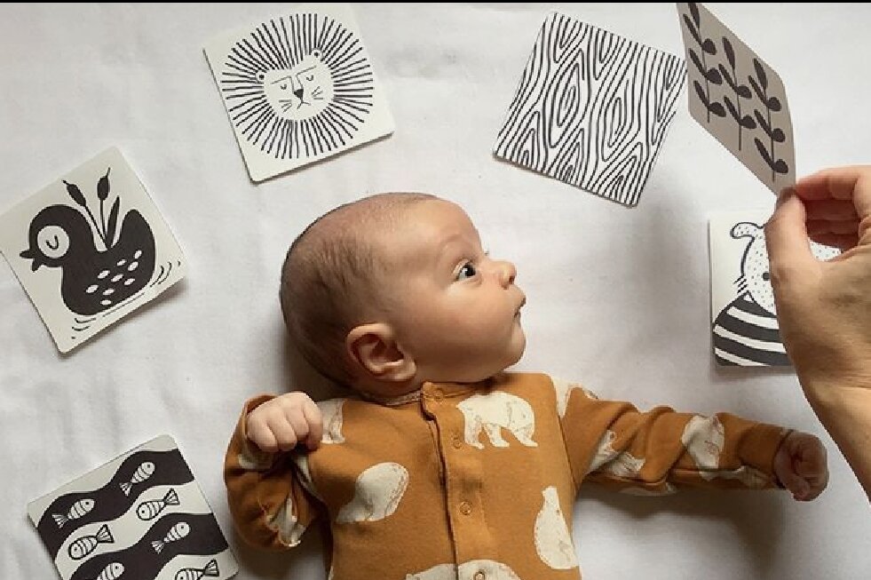 Фото https://pinterest.ru/