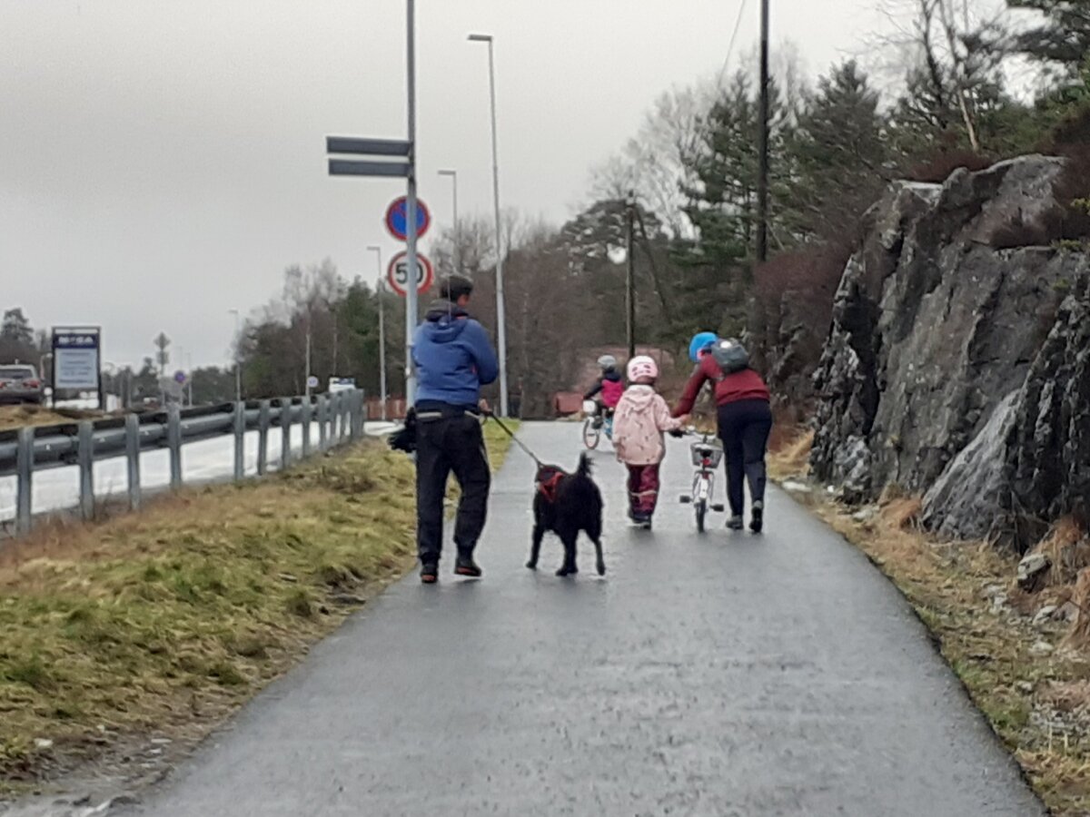 Пешеходная дорожка в деревне Ус. .Дети на велосипедах  в шлемах . Собака на поводке.