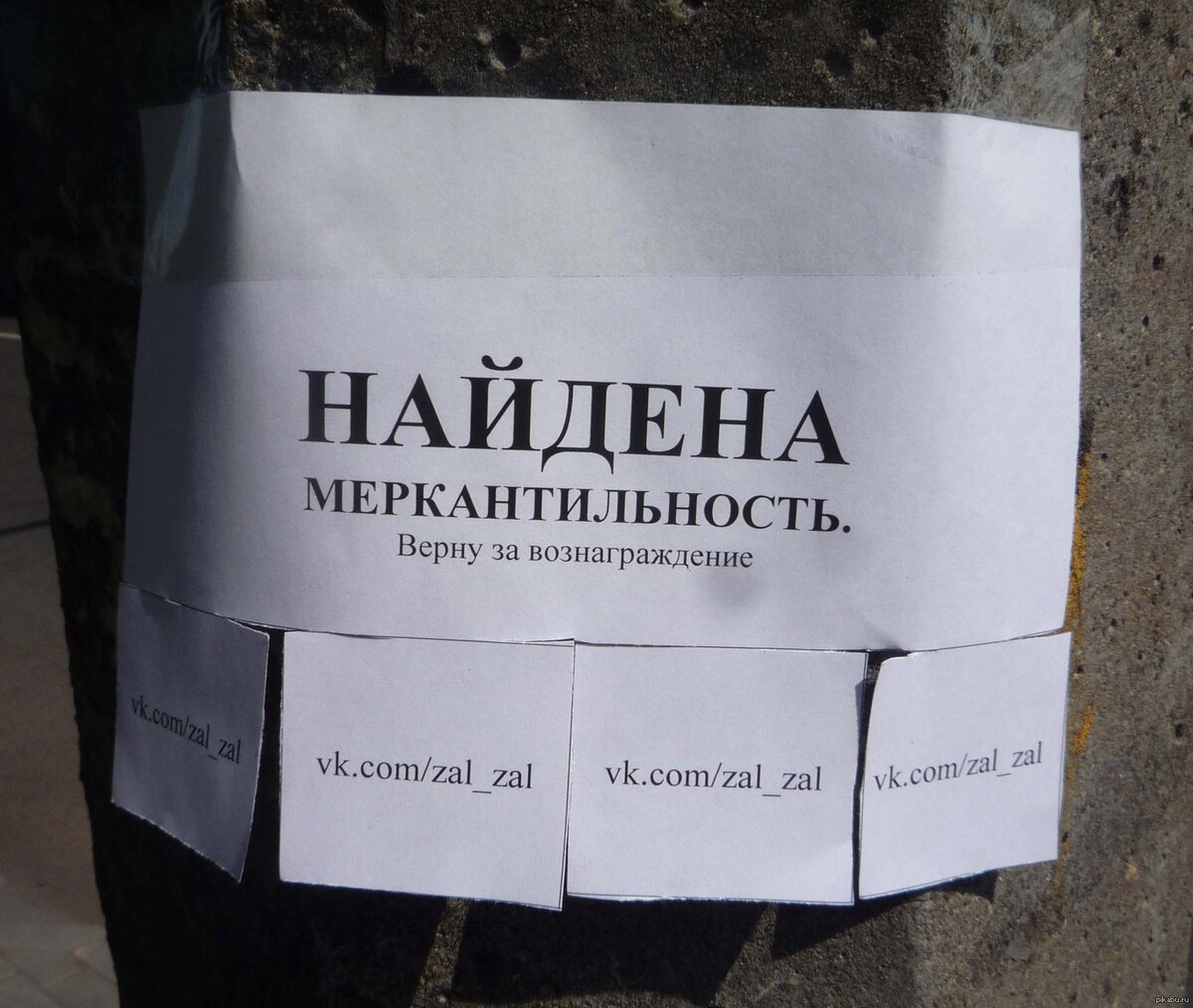 Яндекс картинки