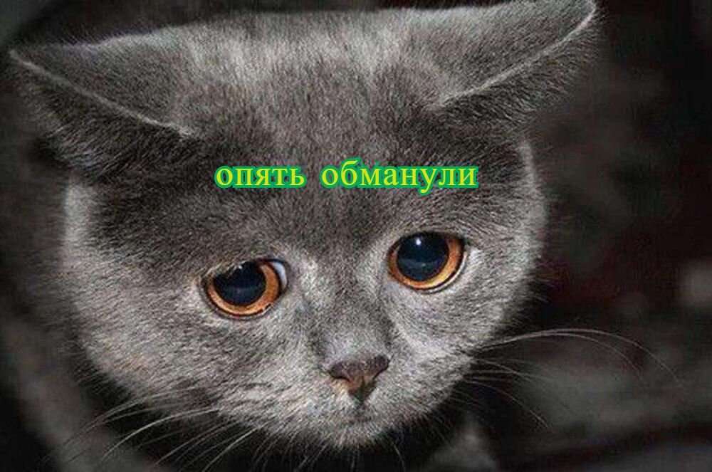 Фото взято из интернета