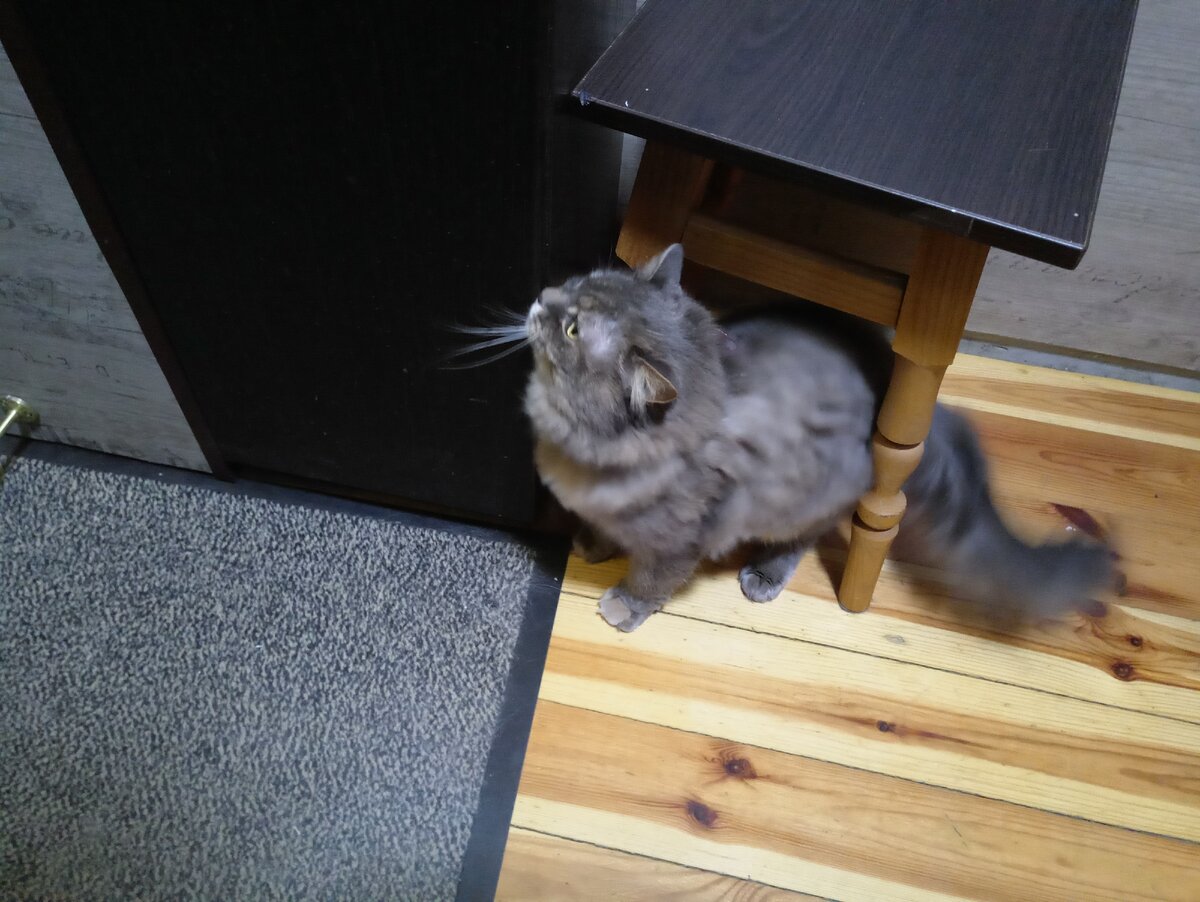 Маня встречает нас в коридоре