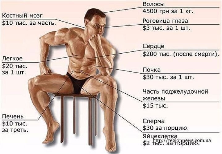 Сколько стоит хорошая презентация