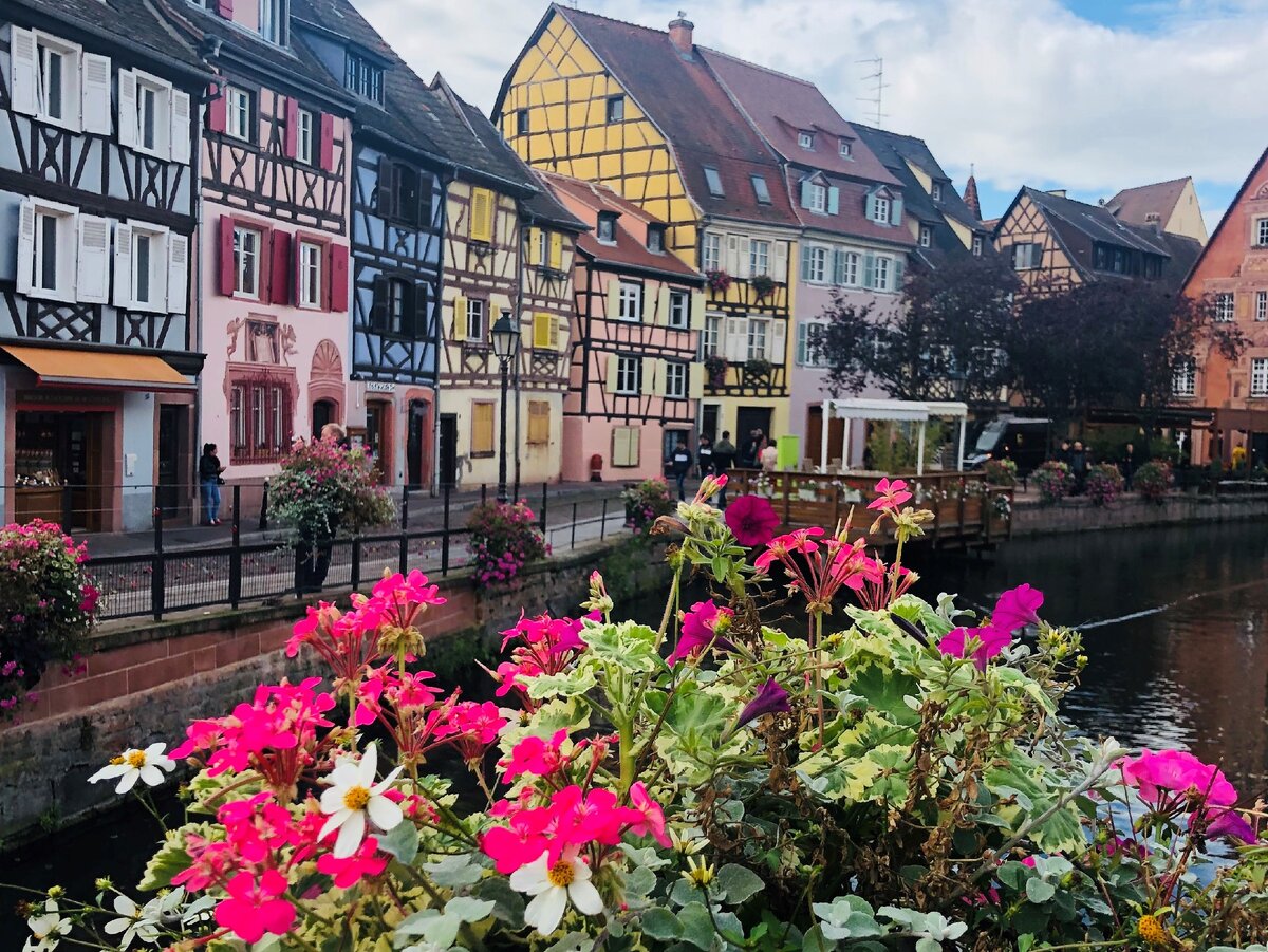 Больше фото в галерее ->