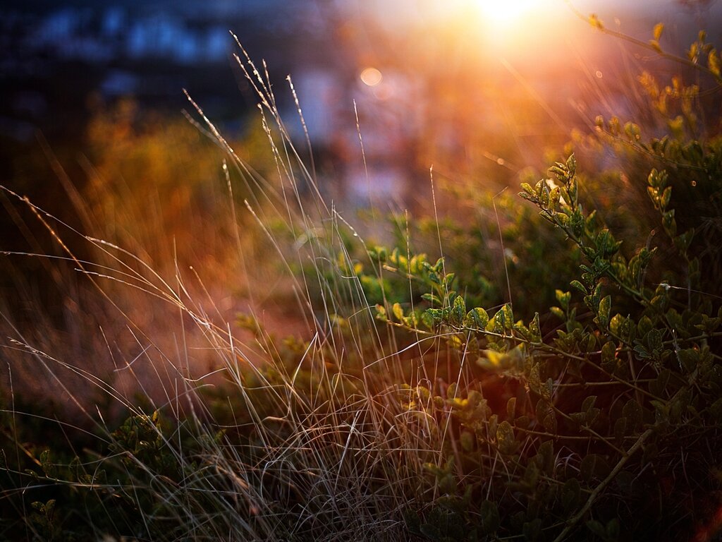 Фотография с сайта zephotos.com