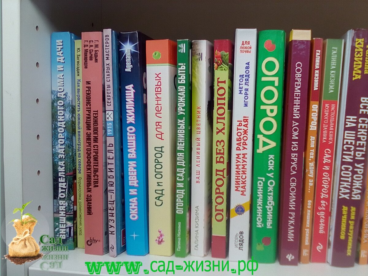 Не хотите хлопот - не берите огород | Сад Жизни | Дзен