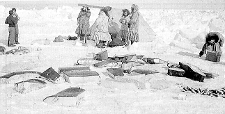 https://web.archive.org/web/20120809014055/http://arcticcircle.uconn.edu/HistoryCulture/Inupiat/1800s.html