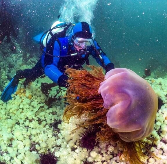 Источник: www.instagram.com