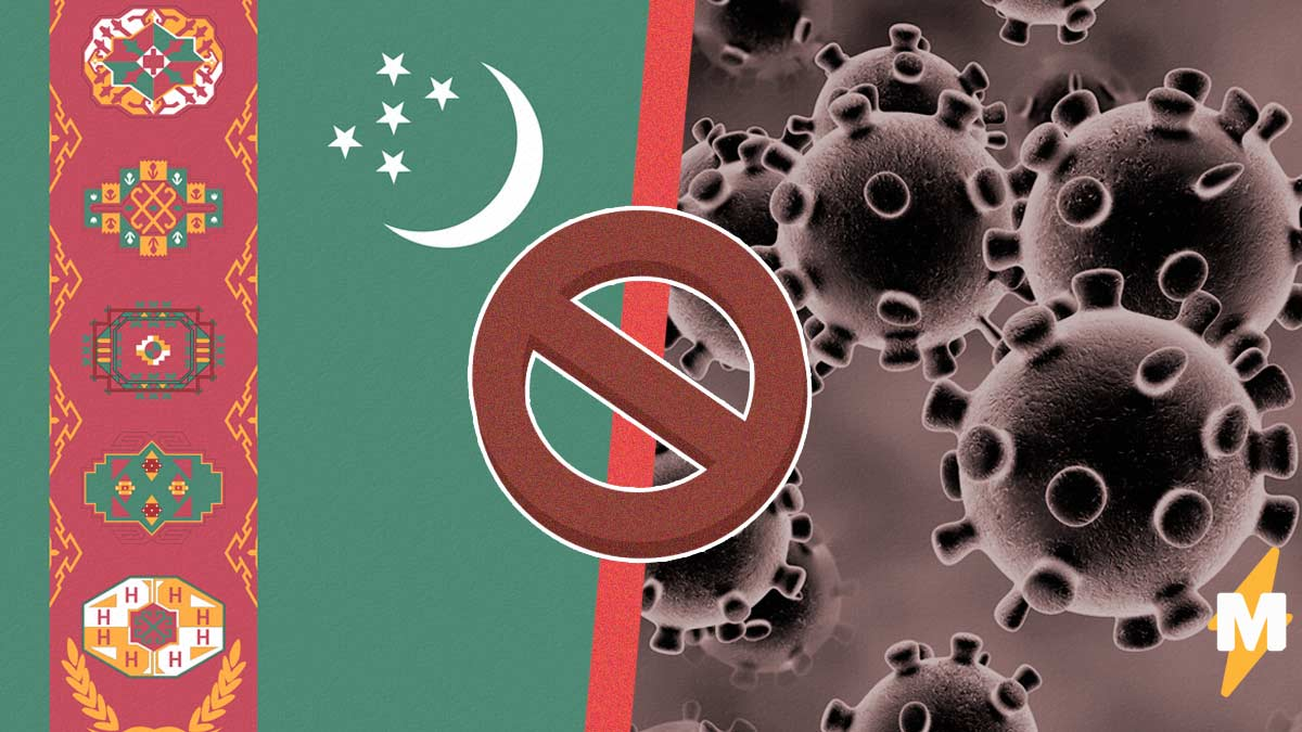 Источник фото : yandex.ru