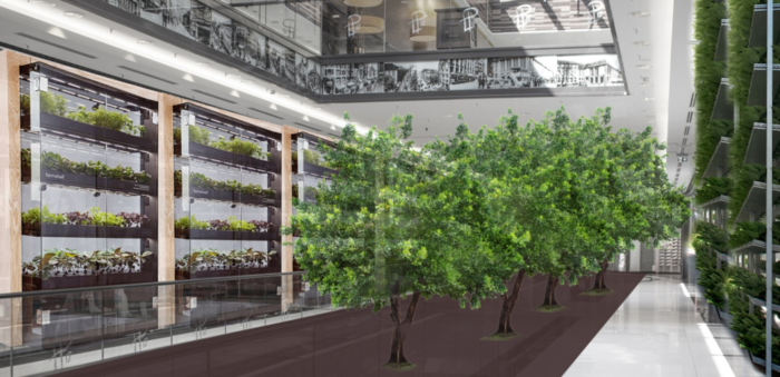 ​Торговые центры станут оранжереями