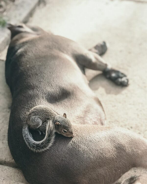 Фото: Instagram/belleandbev