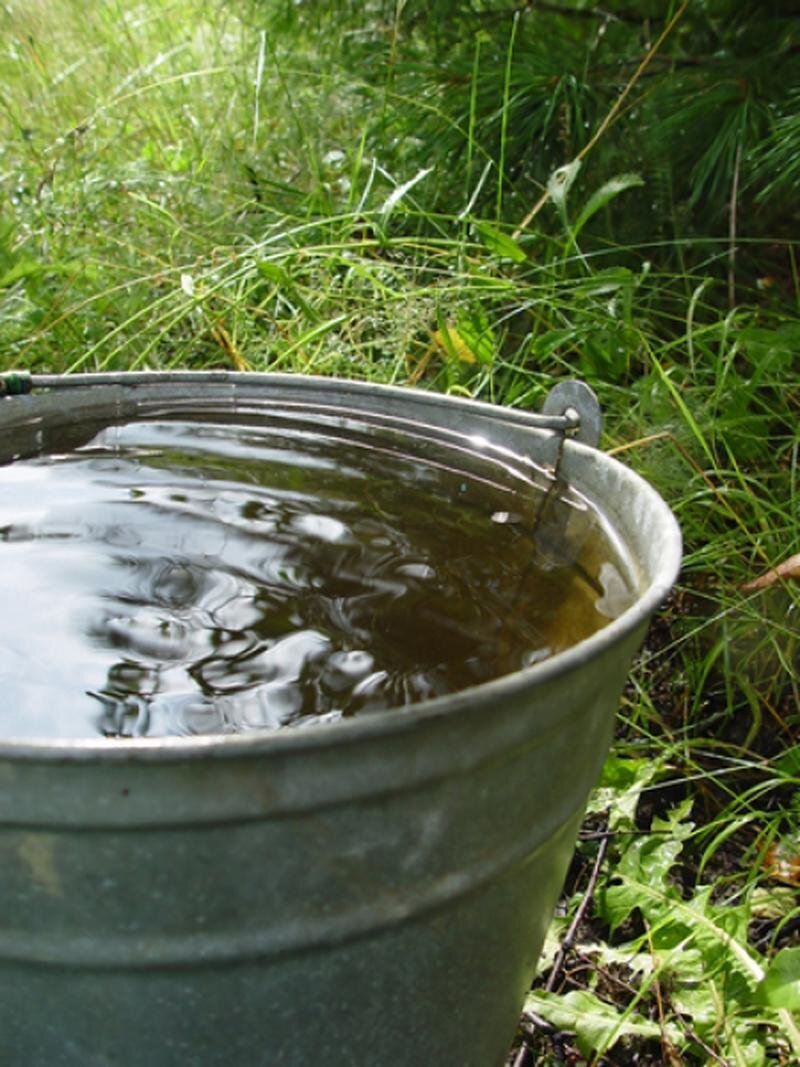 Фото ведра с водой