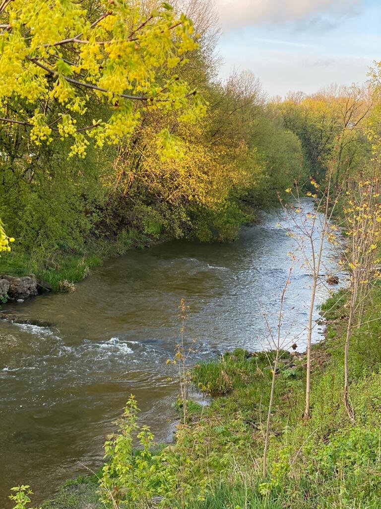Это река в Вильнюсе, в центре, с лососем и русалками.