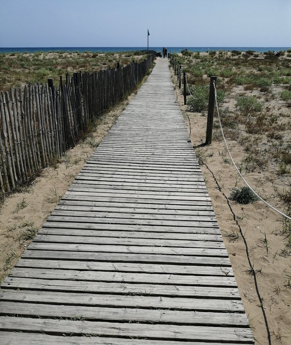 Фартлек на пляже