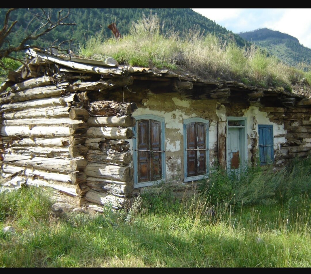 №1. Фото автора 2007г. Большой Карачай. Карачаевский срубный дом 19 века (или 18.в?) с земляной крышей находится в квартале Салпагаровых в Картджурте, на левой стороне Кубани-месте слияния Уллу-Кам и Махар. Дом нежилой, с 1943года высылки карачаевцев. Поэтому толщина земляного слоя крыши уменьшилась из-за многолетних ливней смывающих земляной слой крыши и отсутствия ухода. Крыша двухскатная с минимальным уклоном. В передней части сохранилась побелённая глиняная штукатурка защищенная козырьком на всю длину фасадной стены. Не защищённая глиняная штукатурка с торца дома смыта многолетними дождями и открыта стена, состоящая из бревен, частично сгнивших.