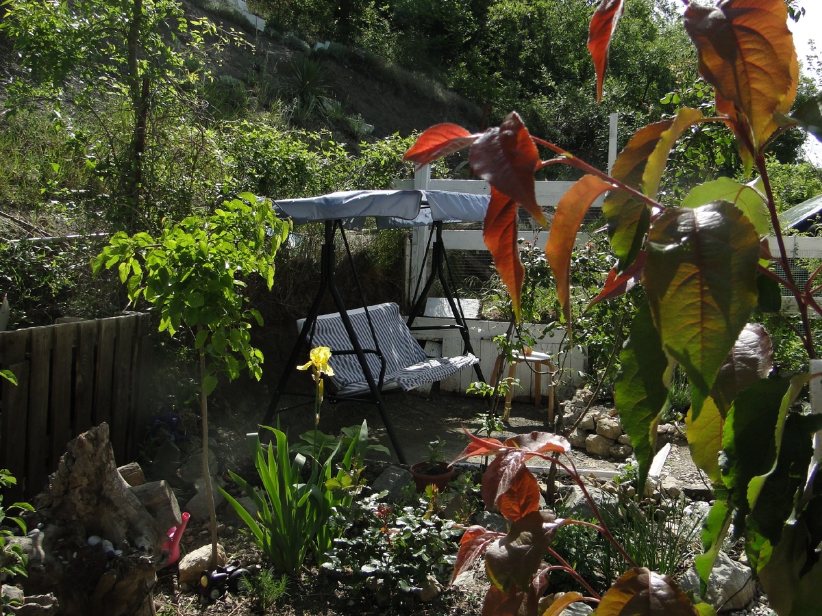 Уголок в саду