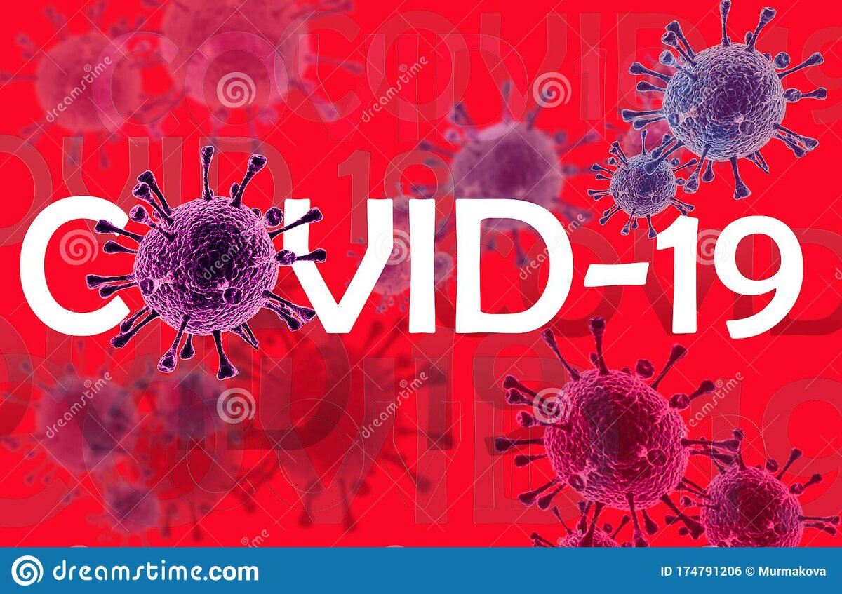 Источник Яндекс Картинки