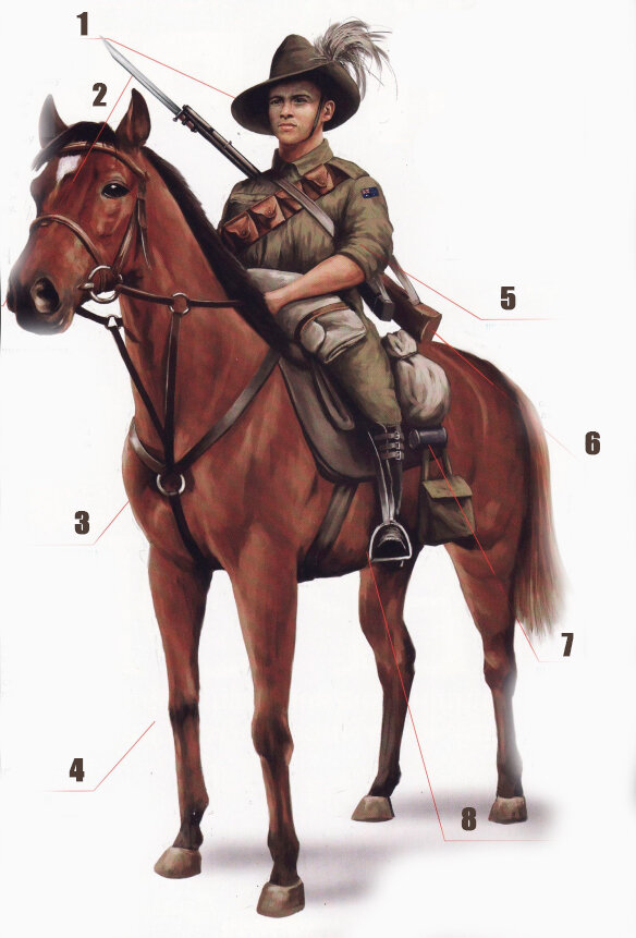 Австралийский кавалерист