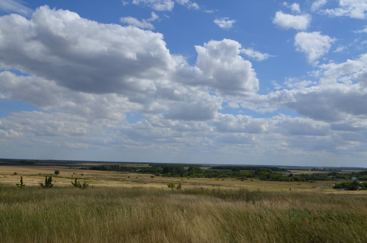 Родные просторы, родные поля... Фото автора