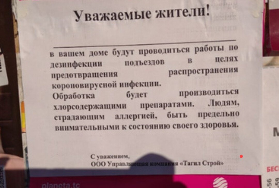 Фото из открытого источника 