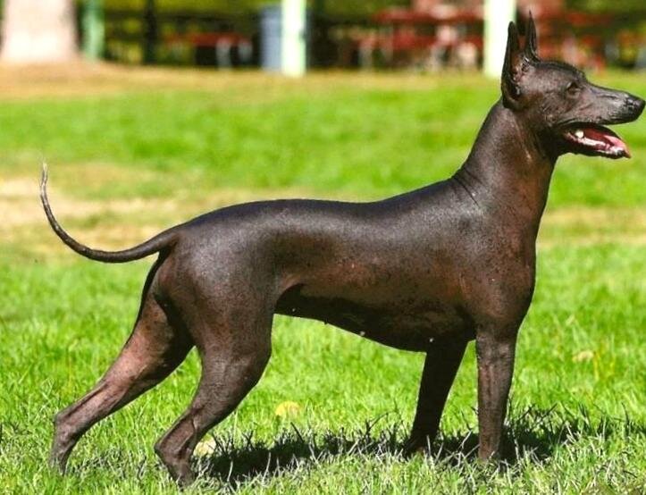 Взято из открытых источников