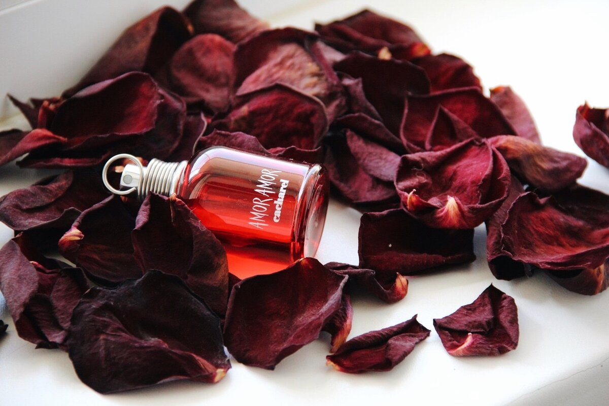 Amor Amor от Cacharel