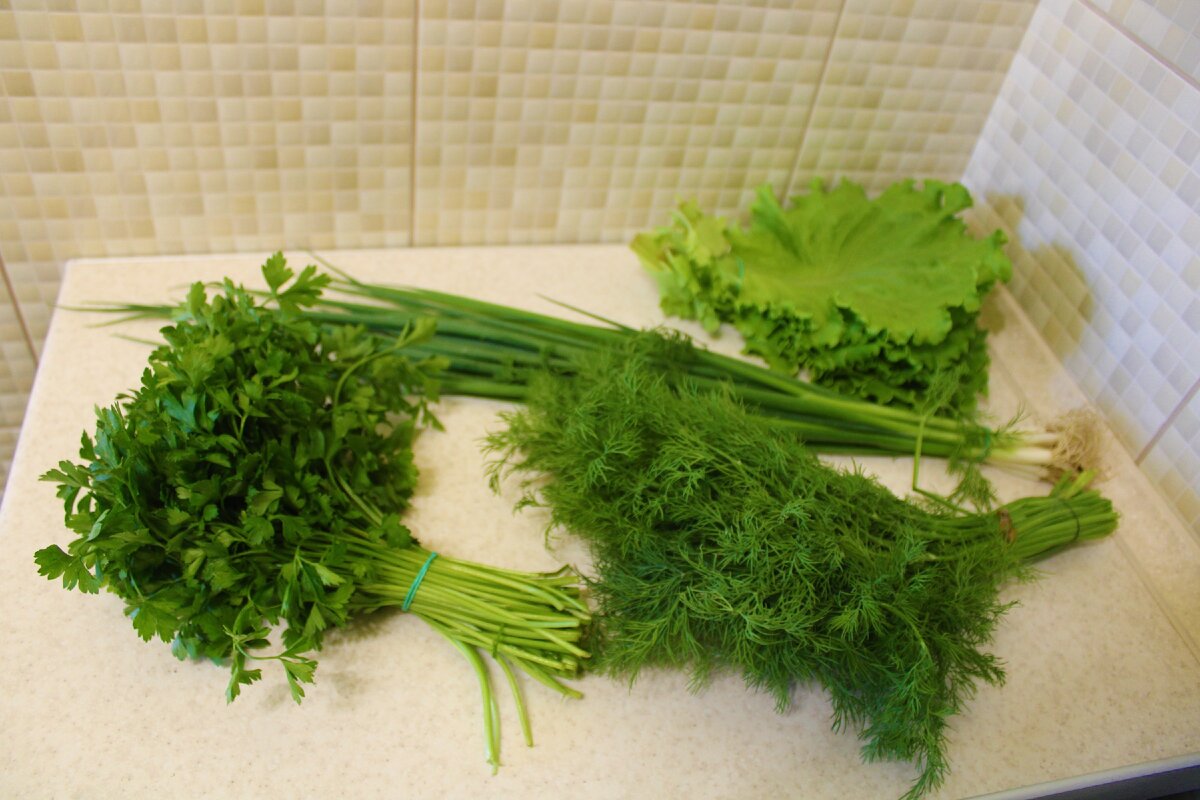 Петрушка кроликам можно. Хайнц 320 укроп петрушка. Зелень для салатов. Салат трава. Зелень на столе.