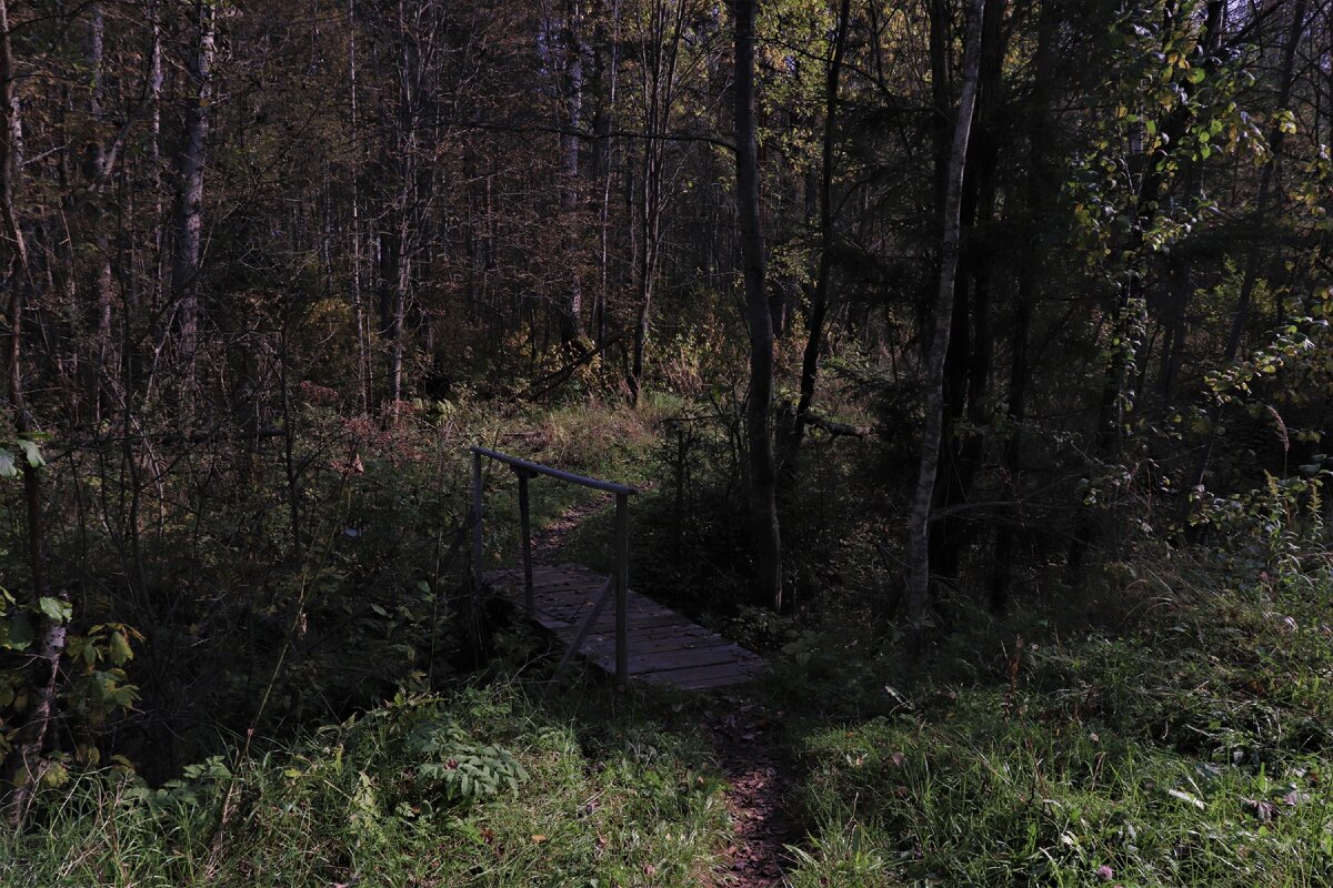Не забывайте листать галерею, фото автора