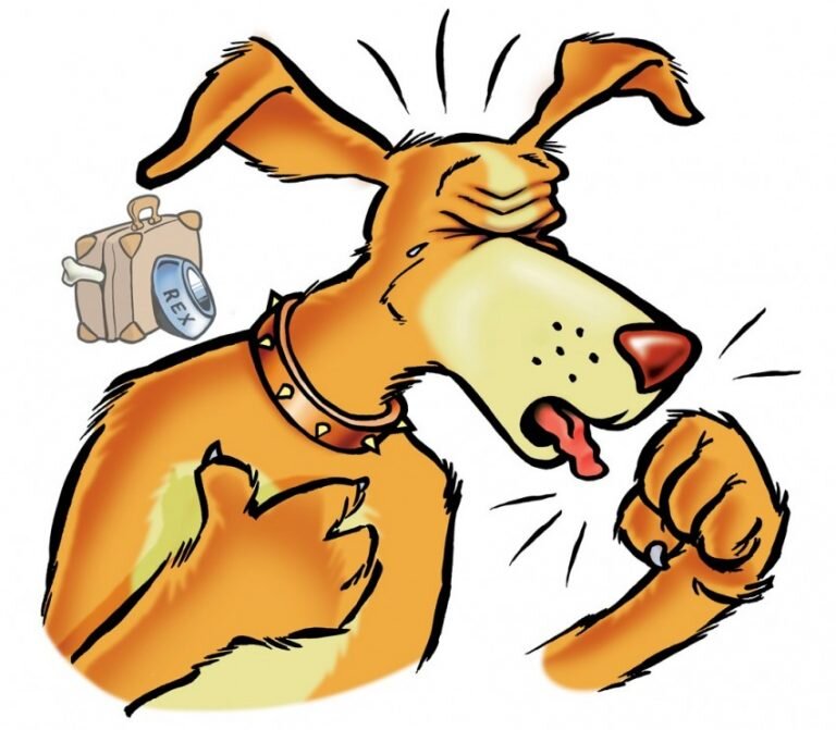 Собаки кашляют совсем по другому, чем люди... 