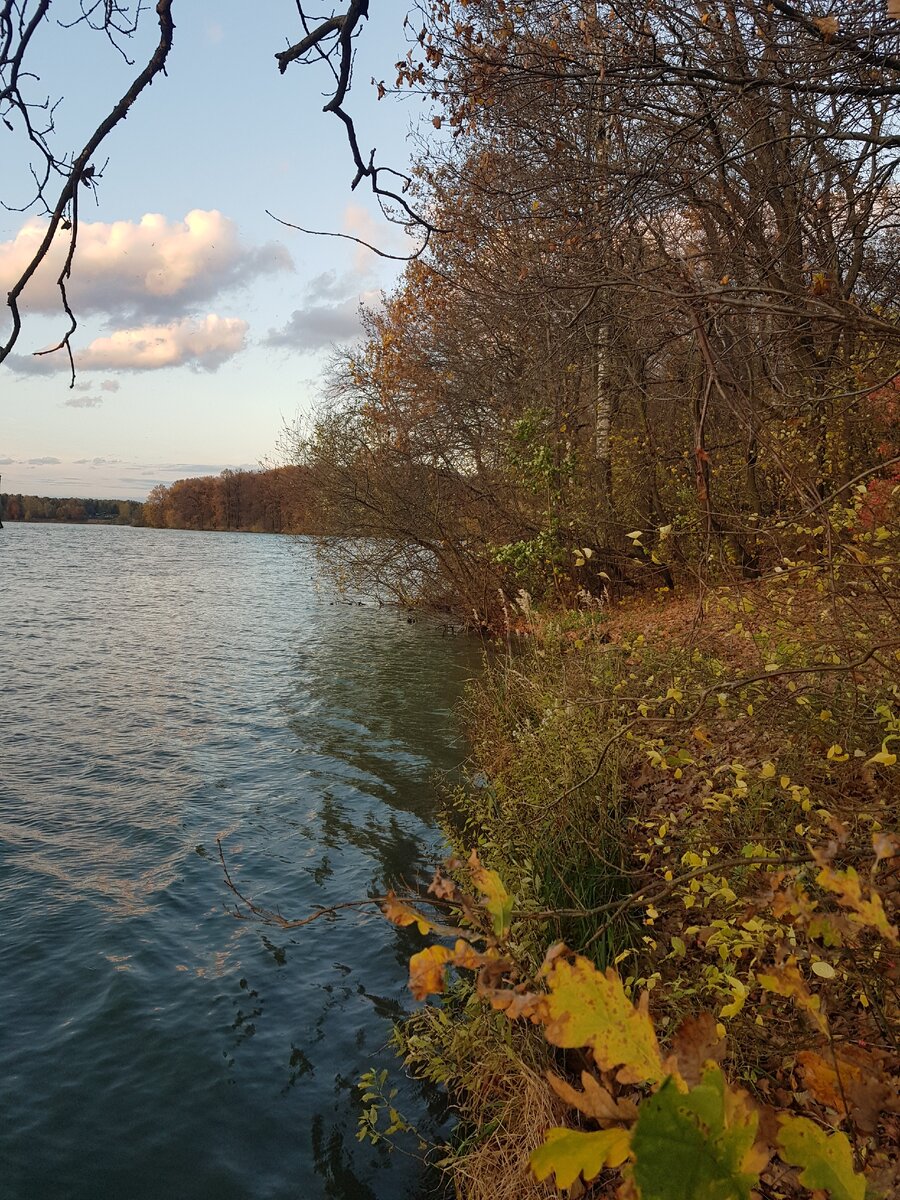 Ставьте "лайки" и подписывайтесь на мой канал!