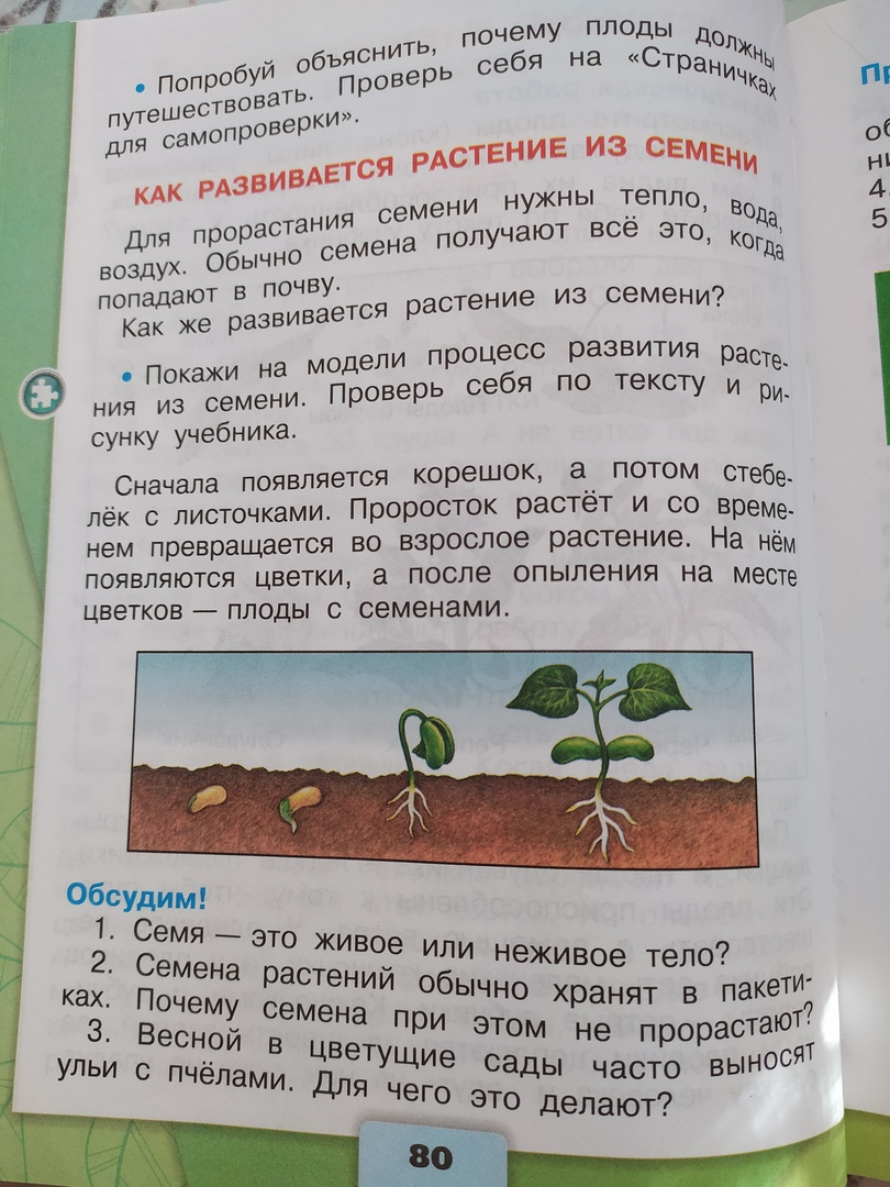 Тема по окружающему миру. Фото из учебника.