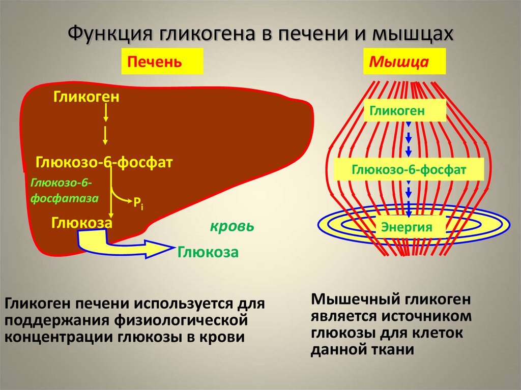 Углеводная зависимость ?