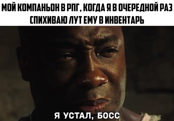 Мой компаньон в рпг.