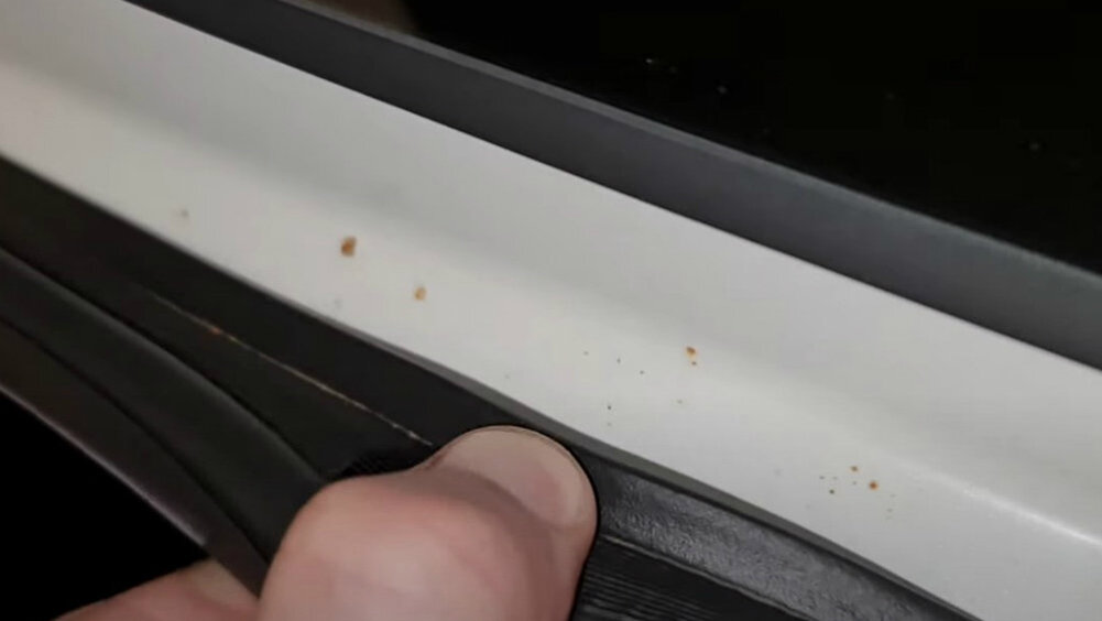 Фото: скриншот с youtube.com