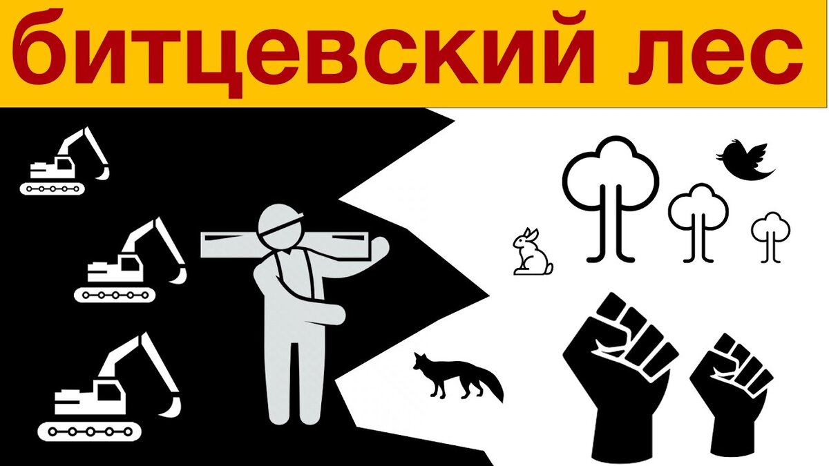 Битцевский лес.