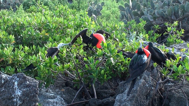 Молодой человек, пройдёмте!