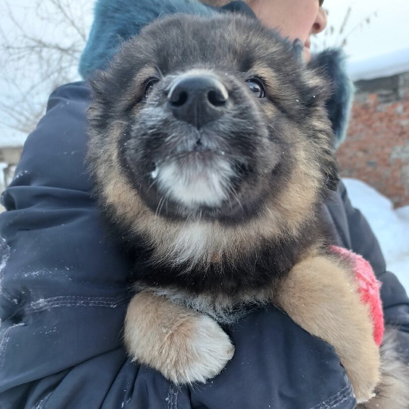 Мальчик