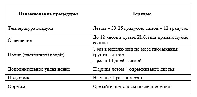 Как пересадить каланхоэ?