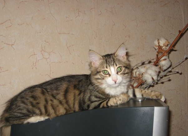 Вот таким он был через полгода