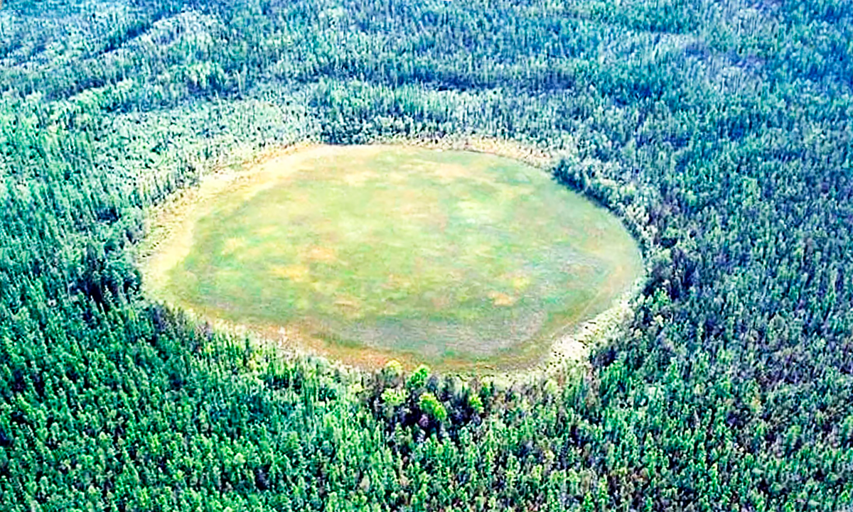 Постепенно всё заросло деревьями, но само место нетронуто 