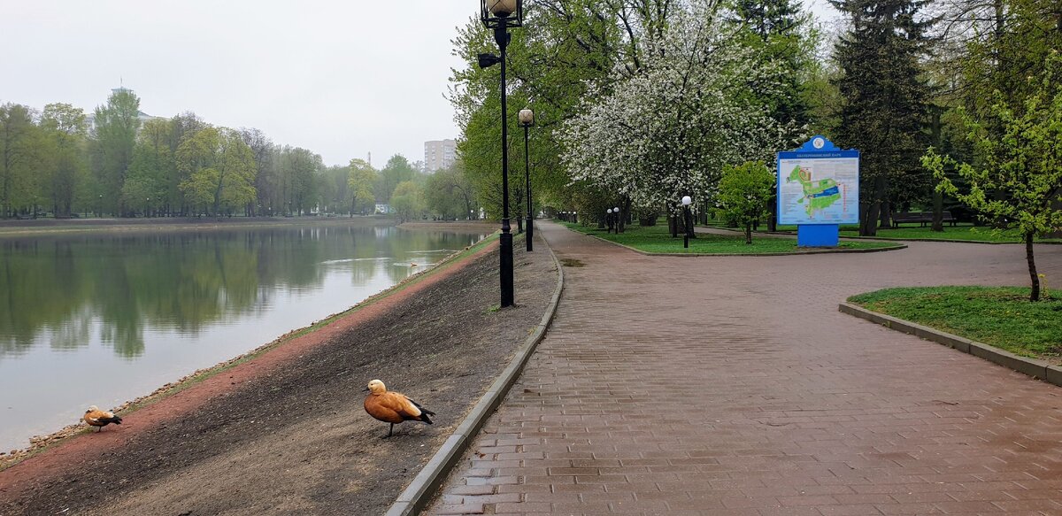 Екатерининский парк. г.Москва.