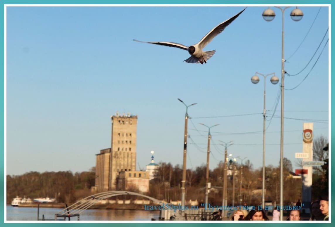 Чайка, Волга, Кинешма, набережная.