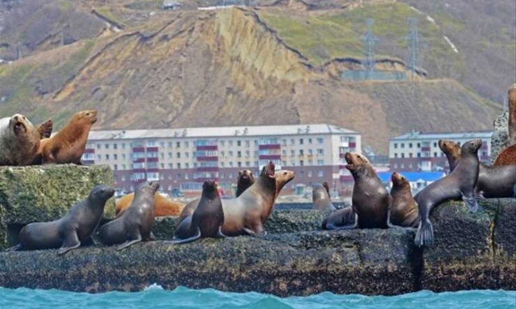 tourism.sakhalin.gov.ru, Сахалинская область 
