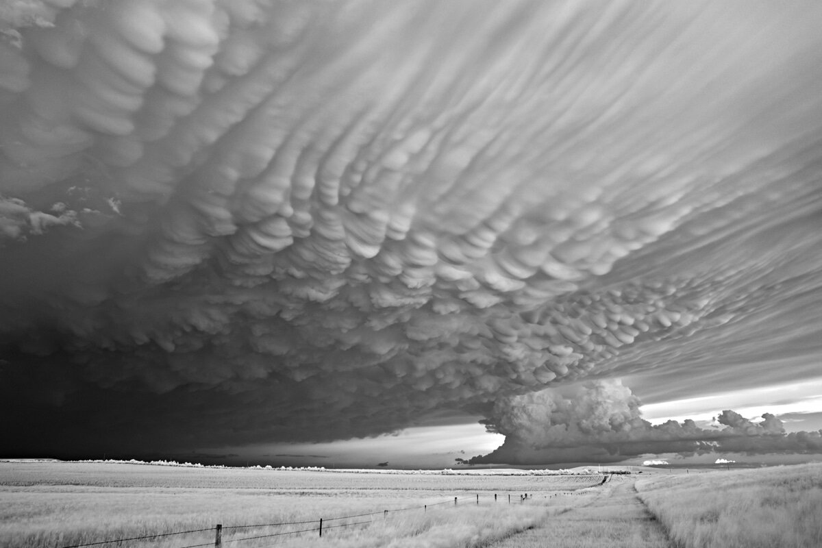 Mitch Dobrowner