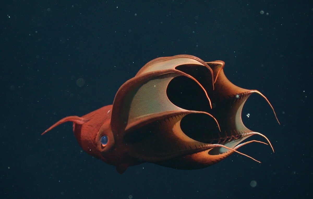 Интересное название,главное все по делу.