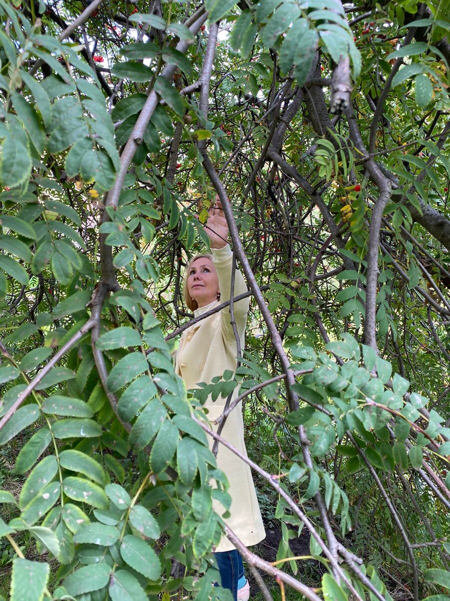 Светлана Птицына