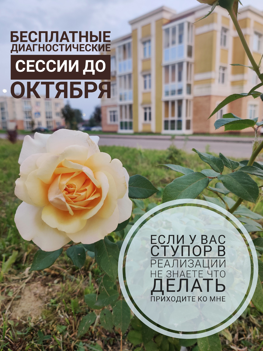 Ссылку на регистрацию можно найти в моих сетях в закреплённых сообщениях. Буду рада помочь тем, кто действительно готов к изменениям.