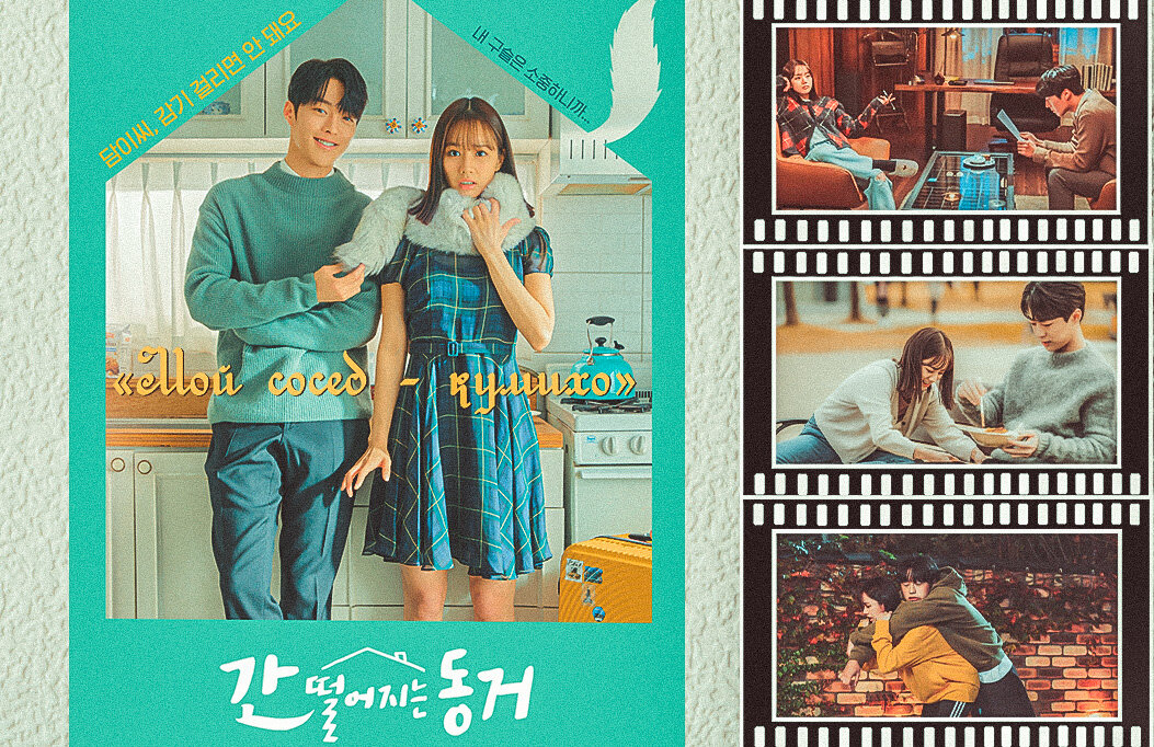 А именно поговорим о романтической комедии корейского производства под названием "Мой сосед – кумихо"