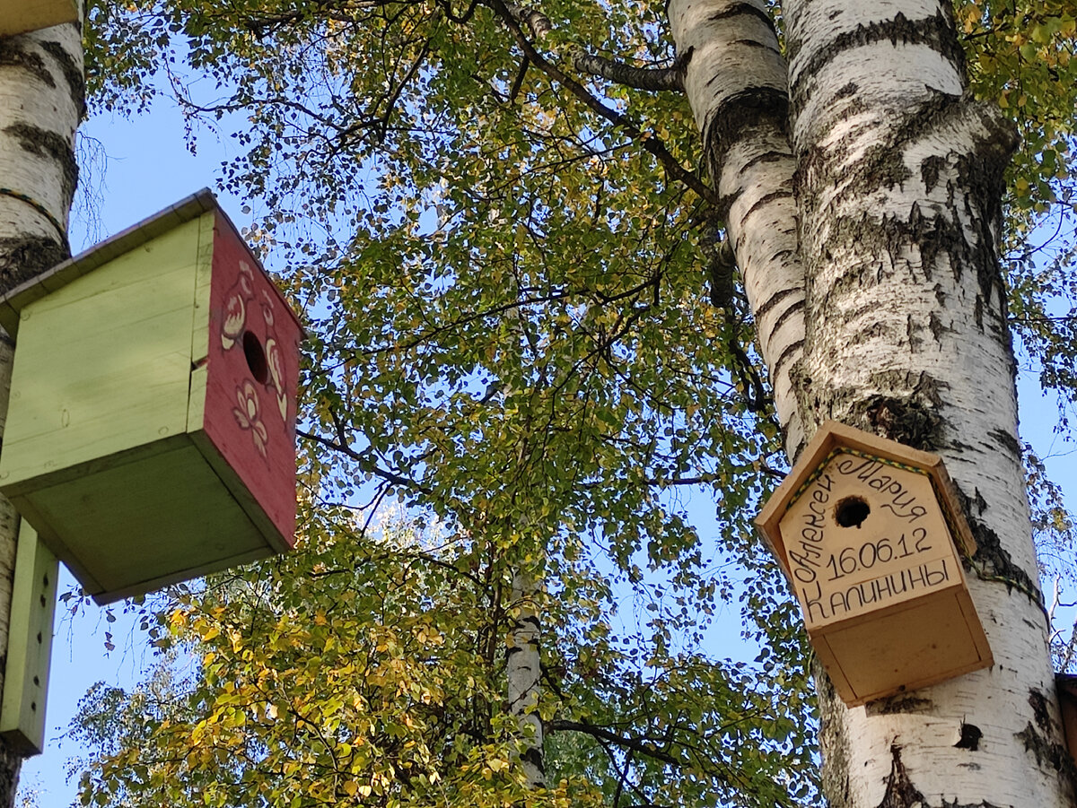 На скворечниках указаны имена жениха и невесты, фамилии и даты бракосочетаний