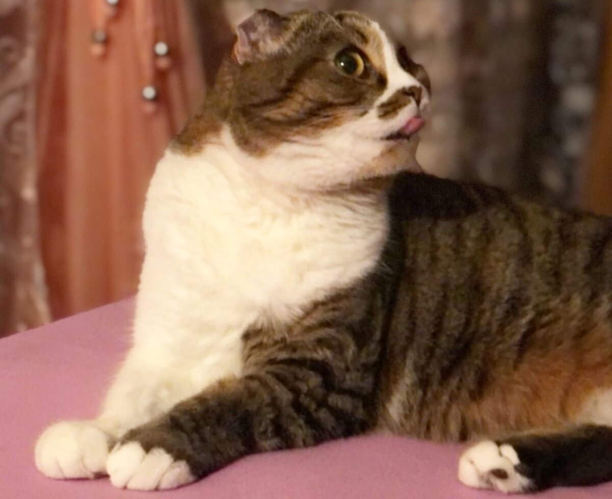 Фото из свободного доступа.