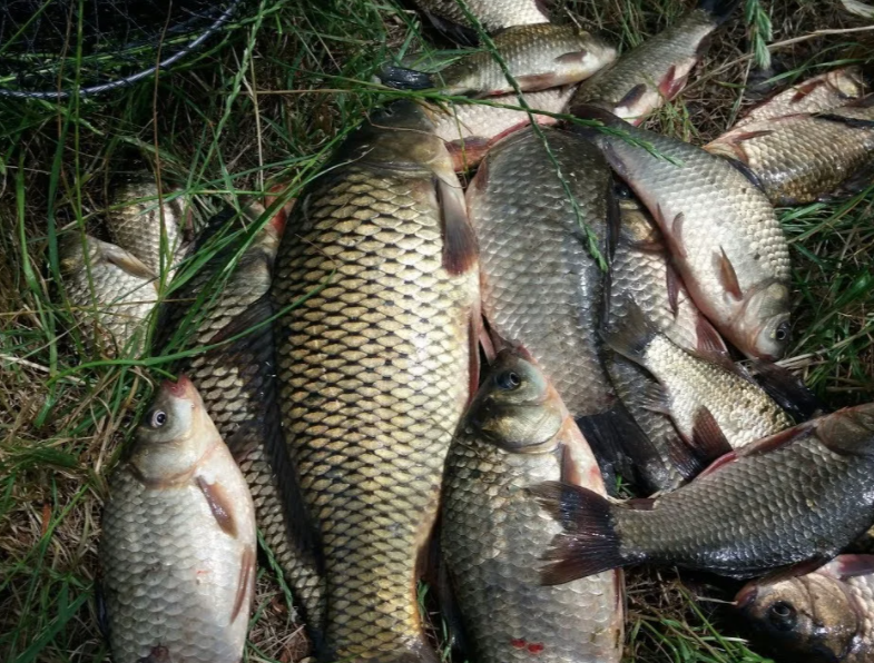 Добавьте описание